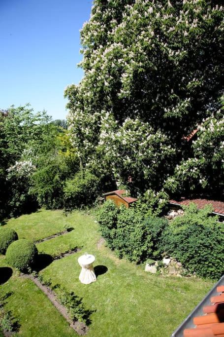 Haus Keppelborg: Zi Antonia Mit Kirchplatzblick Daire Heek Dış mekan fotoğraf